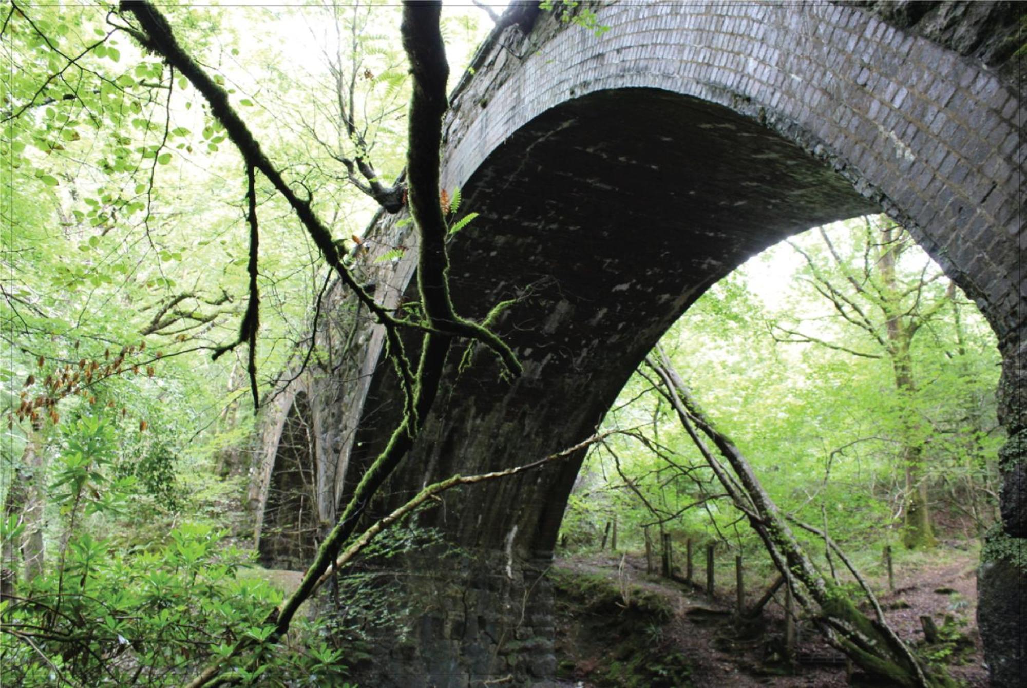 دولغيلوو Afon Rhaiadr Country House المظهر الخارجي الصورة