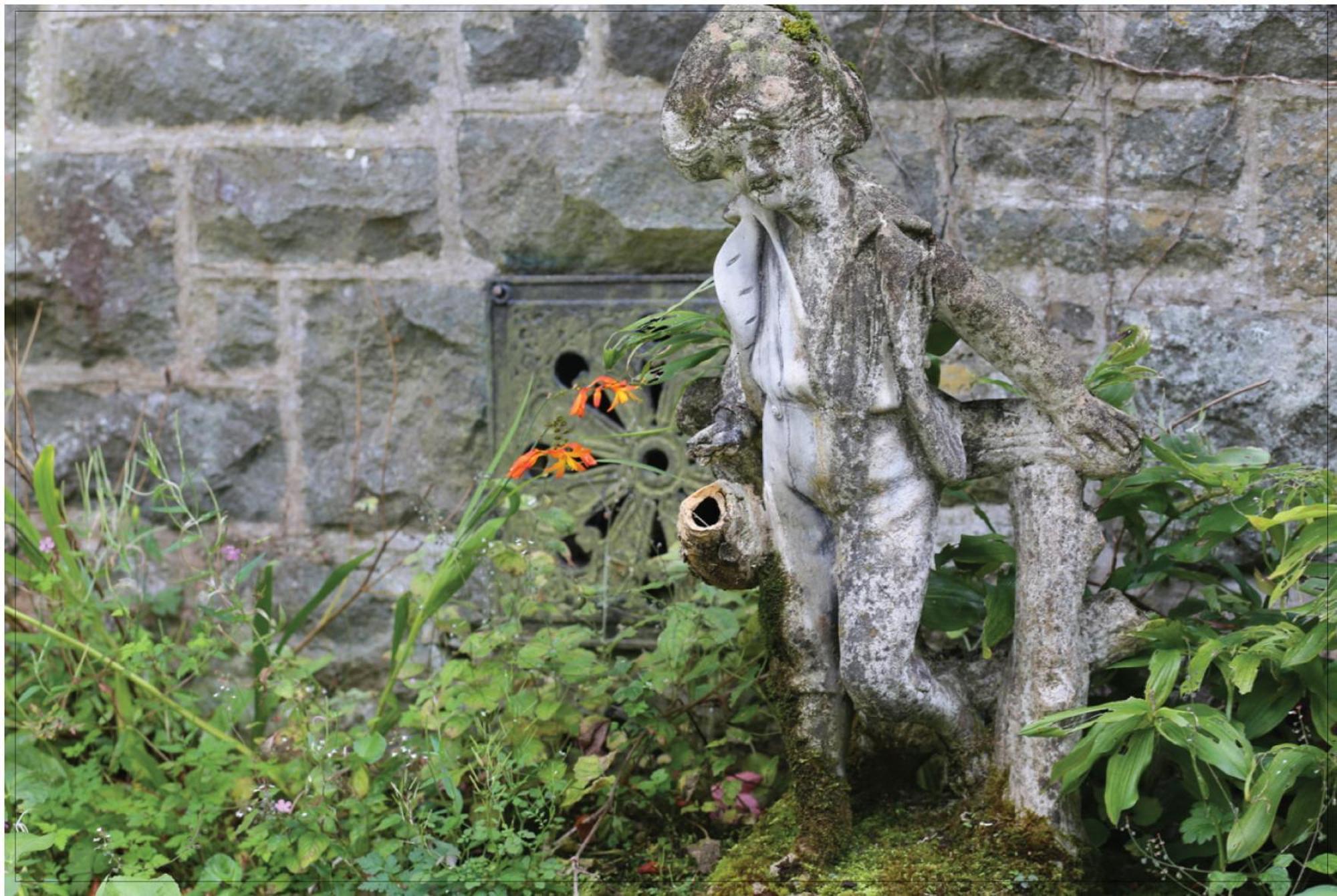 دولغيلوو Afon Rhaiadr Country House المظهر الخارجي الصورة