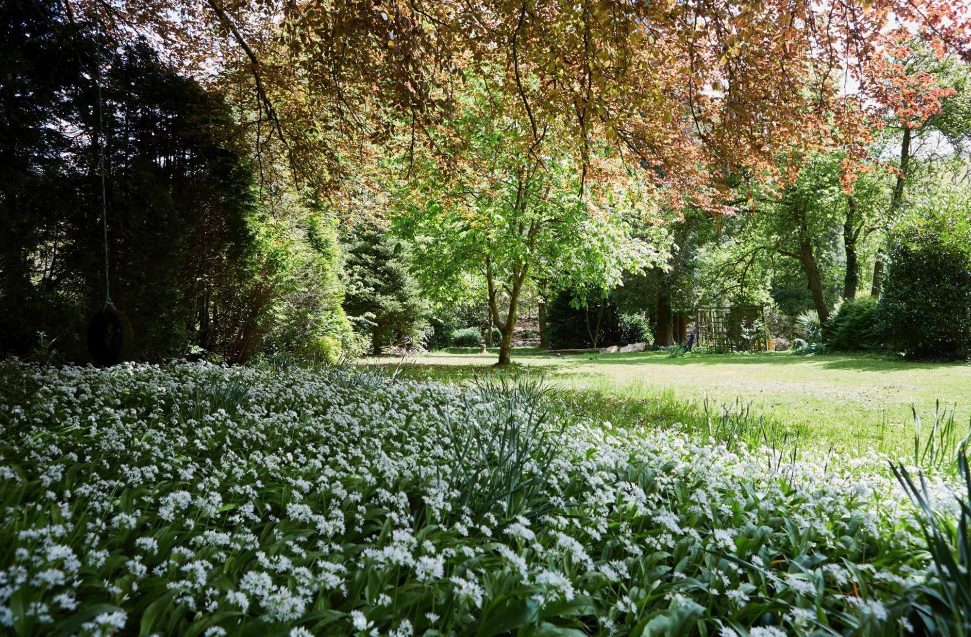 دولغيلوو Afon Rhaiadr Country House المظهر الخارجي الصورة